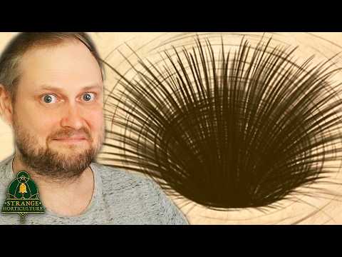 ФИНАЛ ► Strange Horticulture #7 thumbnail
