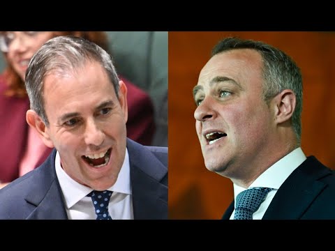 ‘Check the numbers’: Jim Chalmers calls out Tim Wilson over productivity claims thumbnail