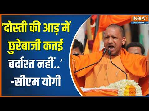 CM Yogi On Surya Murder: सूर्या हत्या मामले को लेकर सीएम योगी ने दे दिया सीधा संदेश | UP Elections thumbnail