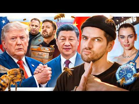 Атака на Зеленского // Дуа Липа против Samsung // Пчелы-нелегалы thumbnail