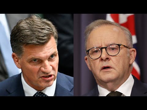 Angus Taylor accuses Albanese of starting a ‘war on aspiration’ in Liberal Council address thumbnail