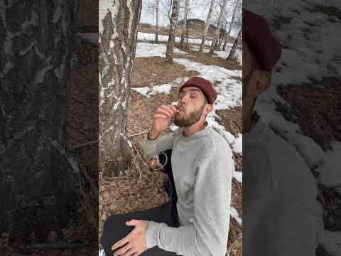 Клещи уже проснулись 😱 thumbnail