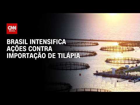 Brasil intensifica ações contra importação de tilápia | CNN AGRO NEWS thumbnail