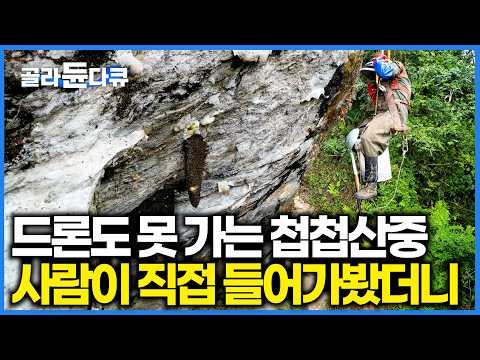 드론도 못 가는 해발 3,000m. 하루에 200만원 벌 수 있다고? 첩첩산중에 목숨 걸고 들어가봤더니｜극한직업｜#골라듄다큐 thumbnail