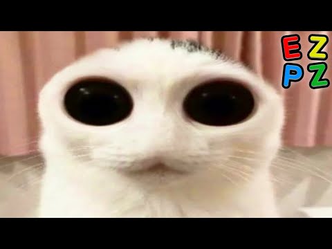 ALL OF R/OOER thumbnail