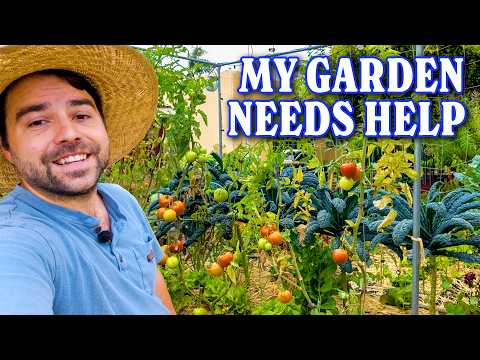 2 Hours of Gardening in 26 Minutes thumbnail