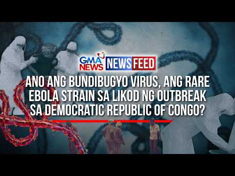 Ano ang Bundibugyo virus, ang rare Ebola strain sa likod ng outbreak... | GMA News Feed thumbnail