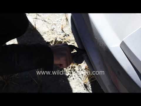 Car rescue operation in the high-altitude desert of Ladakh thumbnail
