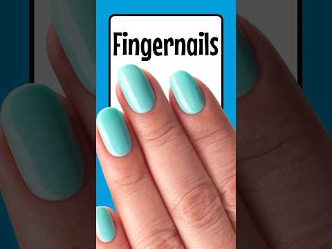 Fingernails ? Weird but Cool Facts! | 60 Seconds of Wow! #funscience #kidslearning #fingernails thumbnail