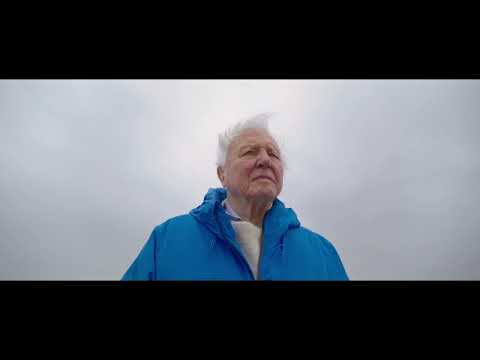 Ocean with David Attenborough (🎵 ONE WORLD) thumbnail