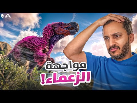 أرك فالكونز #5 اصعب مواجهة! thumbnail