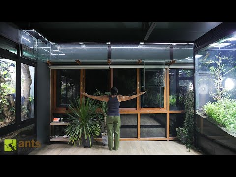 I Built a Bridge Connecting All My Giant Vivariums Together thumbnail
