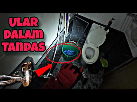 💢HATI-HATI BILA MASUK BILIK AIR TAKUT ADA YANG MEMERHATI🥶IJAT CELORENG thumbnail