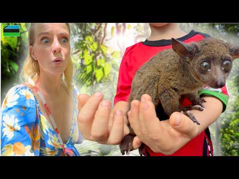 Er gebeurde iets in de jungle… 🌴 😱 ( Jazuni Forest)  | Bellinga Vlog #3551 thumbnail