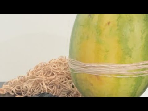EXTREME WATERMELON EXPLOSION!!!! thumbnail