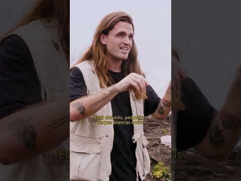 Vivir sobre ROCA VOLCÁNICA🌋 thumbnail