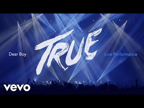 Avicii - Dear Boy (Live in Uncasville, True Tour 2014) thumbnail