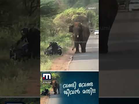 ബൈക്ക് താഴെയിട്ട് ഒരൊറ്റ ഓട്ടം!! മൂന്നാറിൽ ബൈക്ക് യാത്രക്കാർക്ക് നേരെ പാഞ്ഞടുത്ത് കാട്ടാന | Munnar thumbnail