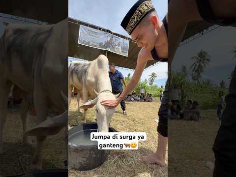 Part 3 : hari terakhir bareng si ganteng🐂 #aisarkhaled #iduladha #qurban thumbnail