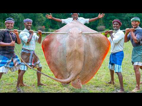 200 Pounds BIG STINGRAY | Cutting & Eating in Village | Village Fish Curry Recipe | Tasty Fish Fry thumbnail