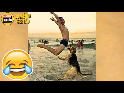 5 Minutos para Rir! 😂 Vídeos Engraçados 2024 #15 thumbnail