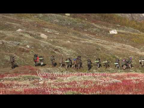 Indian Army mountaineering expedition in Harsil Valley Uttarakhand thumbnail