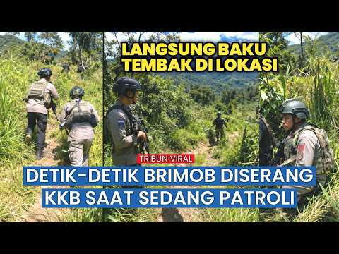 Patroli Brimob di Pegunungan Bintang Mendadak Disergap, Situasi Mencekam Berujung Kontak Tembak thumbnail