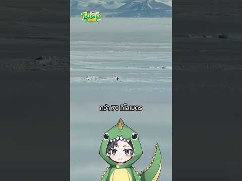 เพนกวินที่เลือกเดินออกจากฝูง | TOGE トゲ thumbnail