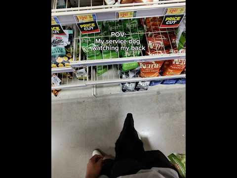 POV: My service dog watches my back thumbnail