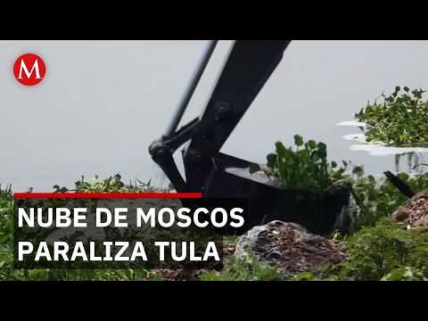 Presa Requena bajo emergencia: El plan de fumigación masiva con drones thumbnail