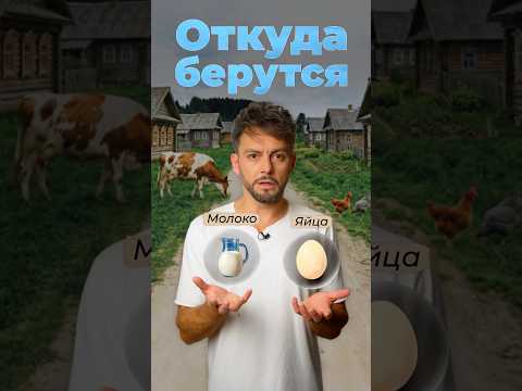 Откуда берутся яйца и молоко? #молоко #яйца #биология thumbnail
