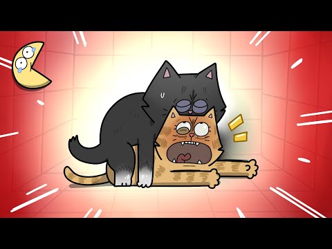 ALASAN KUCING SUKA TERIAK-TERIAK PAS KAWIN thumbnail