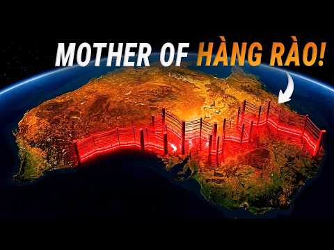#1074 Úc Đã Tạo Ra Hai Thế Giới Chỉ Bằng 1 Cái Hàng Rào - Dingo Fence! thumbnail