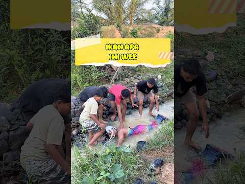 Ikan apa ini bang ???!! thumbnail
