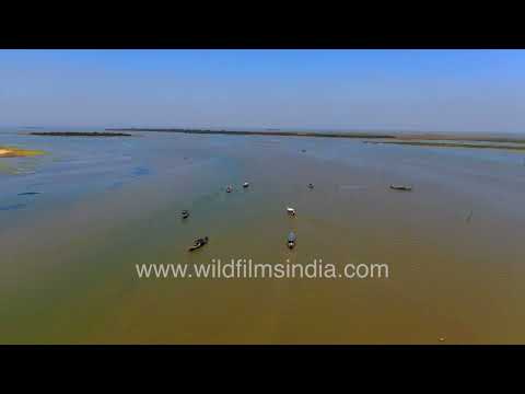 Traditional boats glide across the vast waters of Chilika Lake, Odisha thumbnail