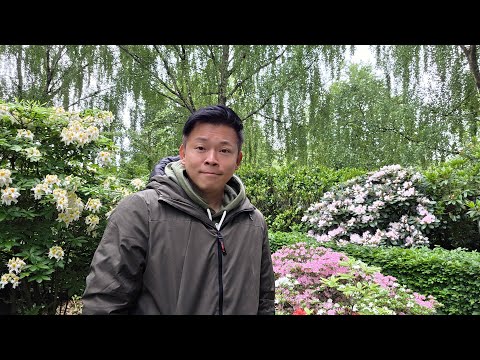 Tin Đặc Biệt: Việt Nam lên tiếng về TỰ DO - Ngày 31/05/2026... thumbnail