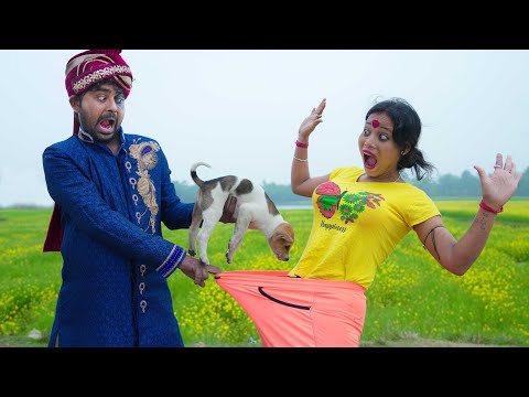 2 Ziddi Bibi Vs Sarabi Pati Best Comedy Video,Top New Comedy Video 2026 Episode 429 By My Family thumbnail