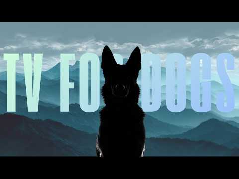 Dog TV Hiking Trails Bringing Outdoor Adventures Safely Indoors thumbnail