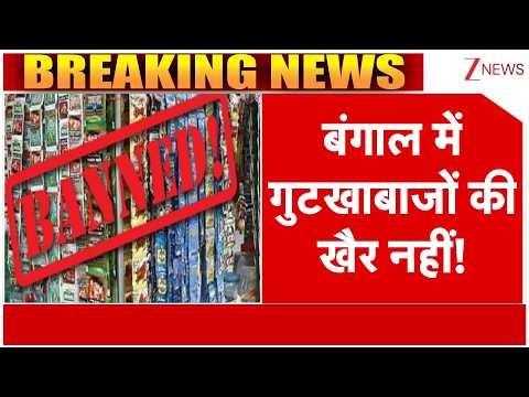 Bengal Clean Drive: बंगाल में गुटखाबाजों की खैर नहीं! रास्ते पर थूका या कचरा फेंका तो लगेगा जुर्माना thumbnail