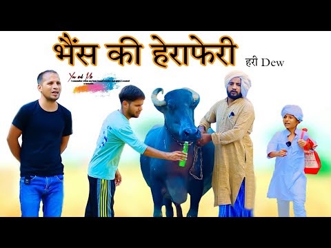 भैंस की हेराफेरी @HAKKUSINGARIYA  // Aafiq Safiq Singariya thumbnail