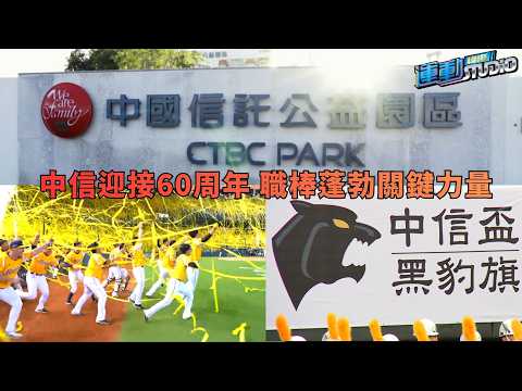 【全心投入】中信迎接60周年 職棒蓬勃關鍵力量 深耕棒球 打造完整生態鏈 thumbnail