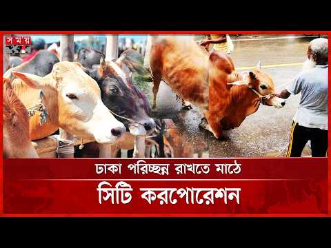 রাজধানীতে কোরবানির সঙ্গে শুরু বর্জ্য ব্যবস্থাপনা কার্যক্রম | Eid Mubarak | Somoy TV thumbnail