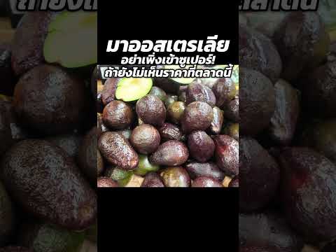 ผักผลไม้สด ถูกมากกกกกก !!!! | MayyR thumbnail