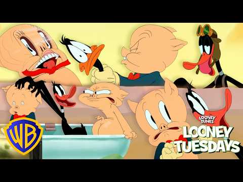 El Cerdito Porky y el Pato Lucas 🐷🦆 ¡Momentos TONTOS! 😂 | Looney Tunes en Latino @WBKidsLatino thumbnail