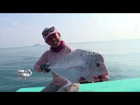 Mancing Bareng Aura Pawita di Belitung | MANCING MANIA STRIKE BACK (30/05/26) P3 thumbnail