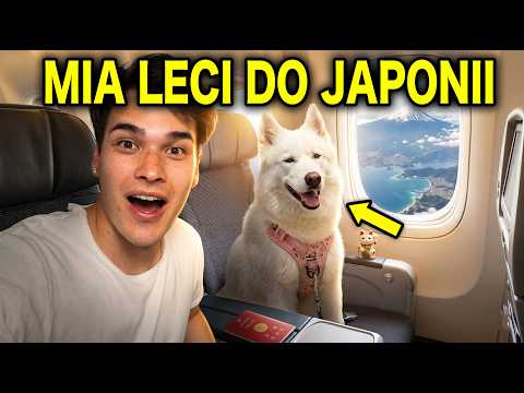 LECĘ Z PSEM DO JAPONII ! thumbnail