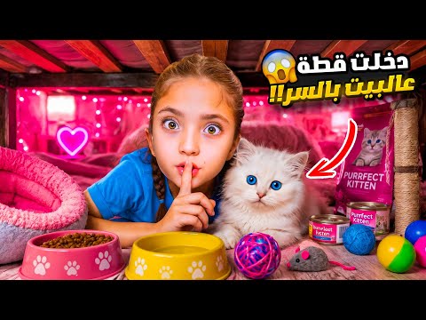     دخلت قطة عالبيت بالسر 😱 | ماما زعلت وطردتها!! thumbnail