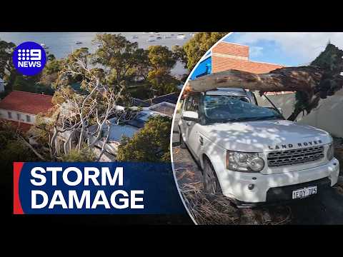 Super storm leaves a trail of destruction | 9 News Australia thumbnail