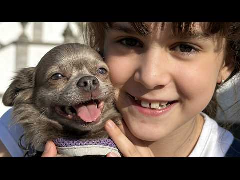 Laura encontrou esse CACHORRO na rua em Portugal… e não queria ir embora 🐶 thumbnail
