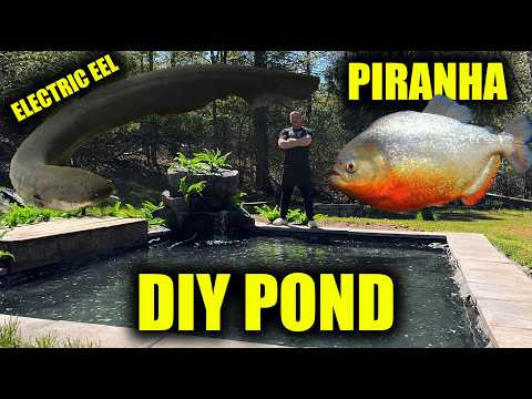 DIY pond, piranha AND electric eel aquarium update! the king of DIY EcoFlow DELTA 3 Classic unboxing thumbnail